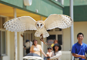 セガアリーナ蘇我 館内